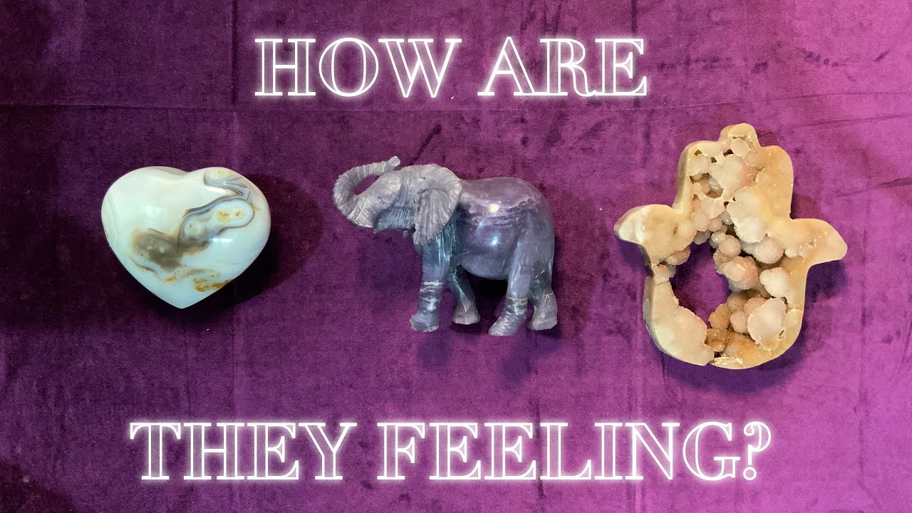 🌸💞How are they FEELING & THINKING about YOU? + MESSAGES 💌 Pick a Card Tarot Oracle Love Reading💞🌸