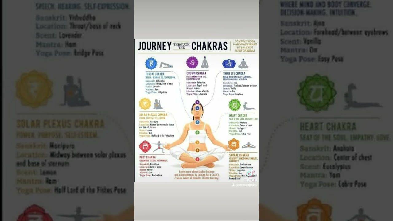 The 7 basic chakra