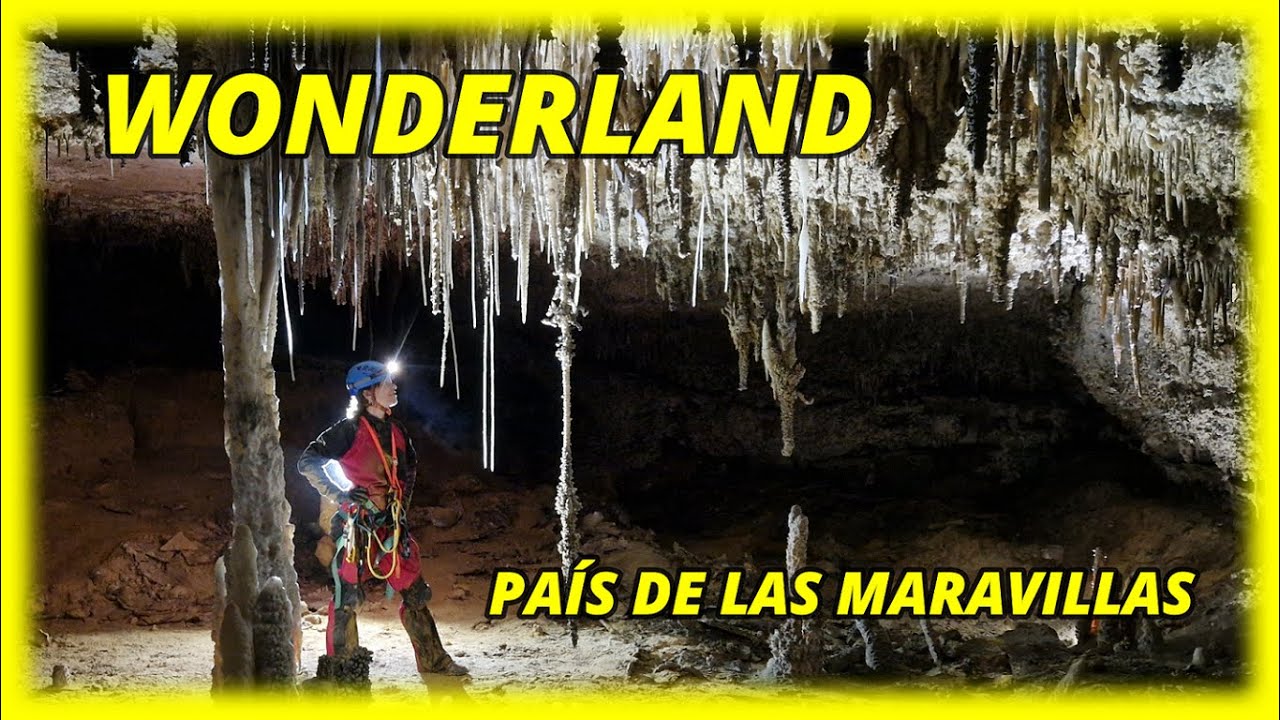 WONDERLAND EL PAÍS DE LAS MARAVILLAS