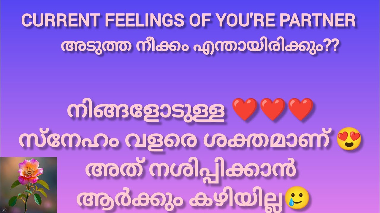 അവരുടെ മനസ്സിൽ നിങ്ങളെ കുറിച്ച് എന്താണ് ചിന്ദിക്കുന്നത് എന്നറിയാം വീഡിയോ കാണുക ❤️❤️#love #feeling