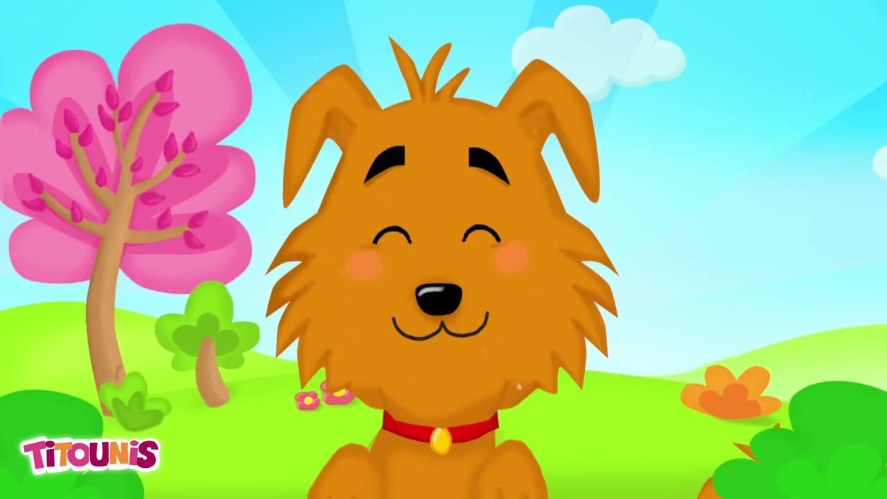 Le chien