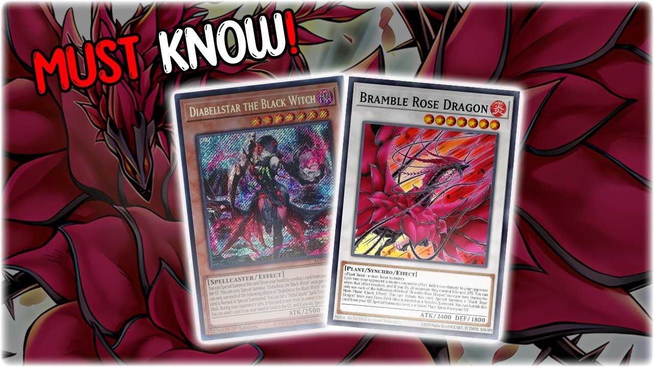 MUST KNOW ROSE DRAGON COMBOS! - Wanted = Full combo?! [Yu-Gi-Oh!]