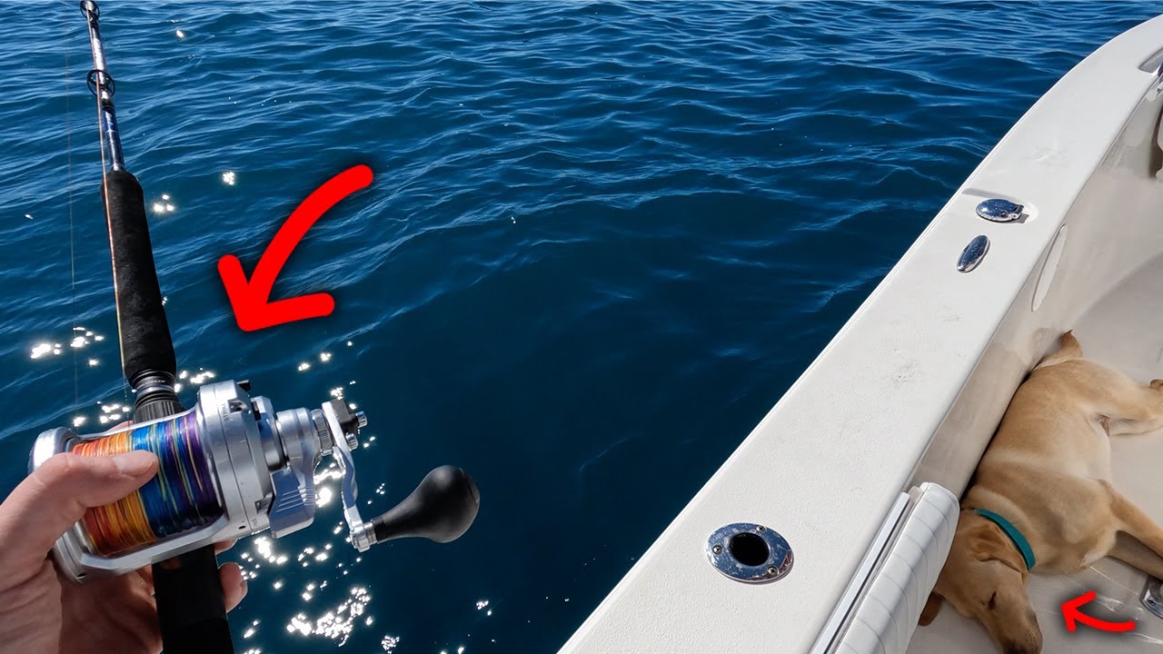 NC Grouper Fishing - 26 Miles Offshore Solo!?