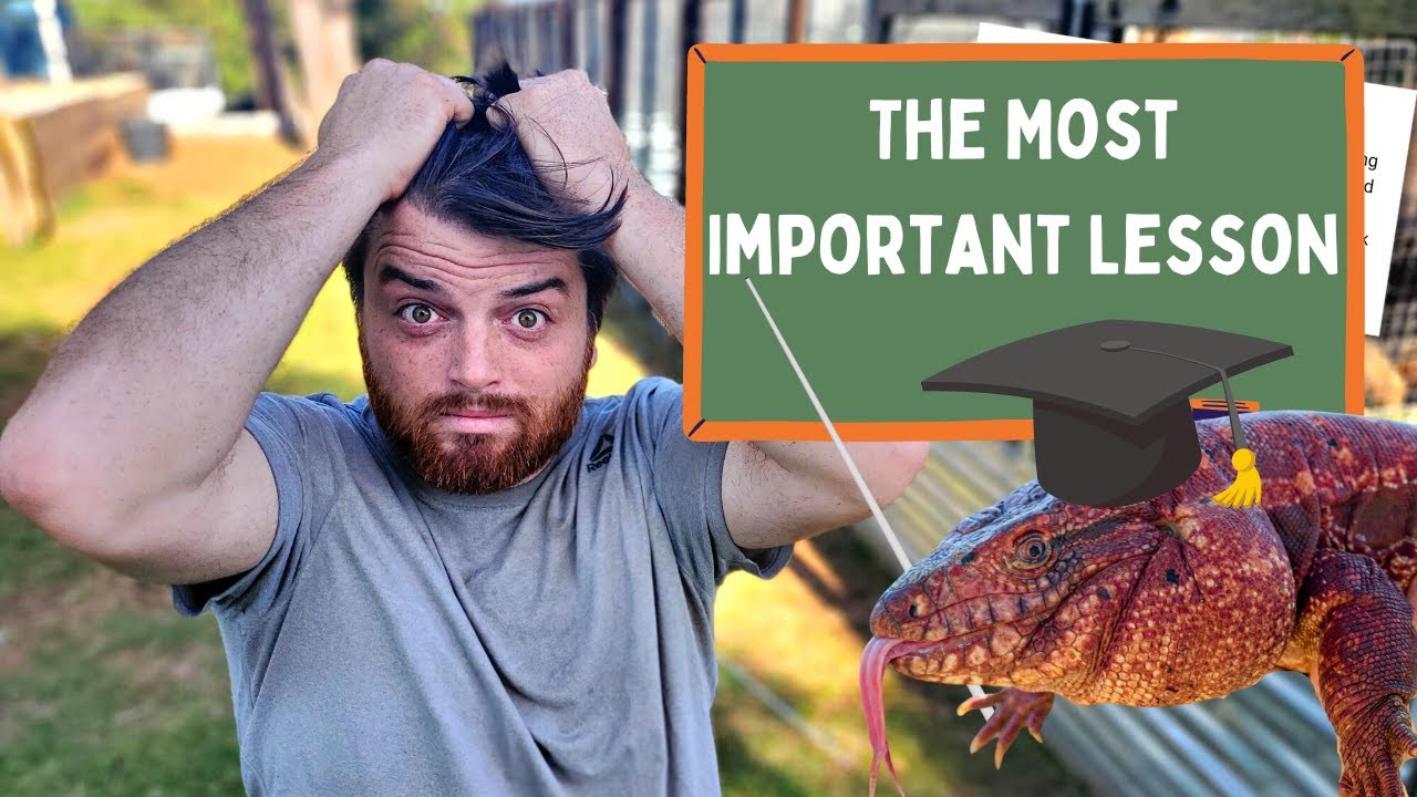 What I Learned From my Reptile Business-NOT What You Expect!