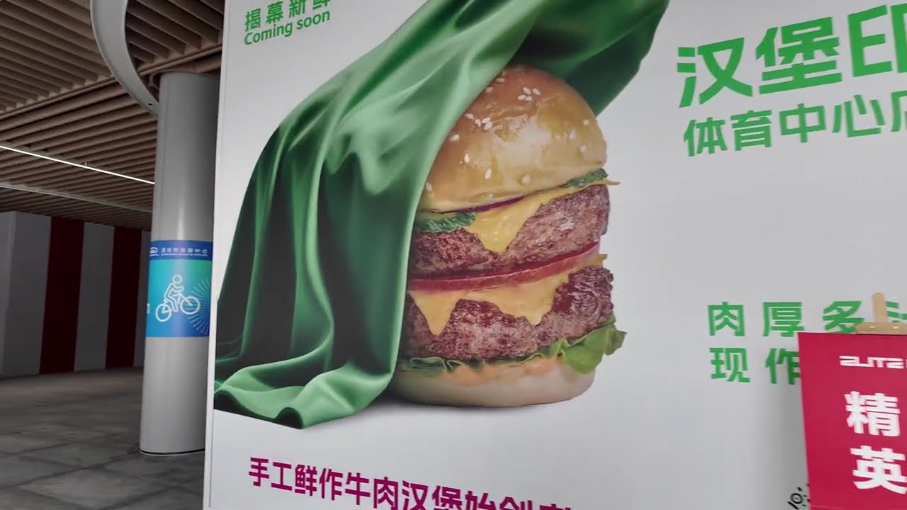 Жизнь китайского бедного инженера 