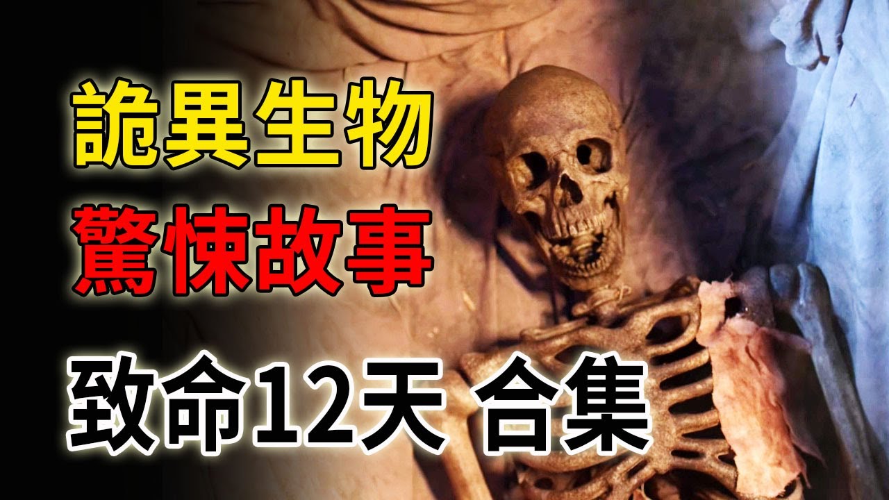 外星人，吸血鬼，邪教！怪物橫行的小鎮，匯集各種怪力亂神的小故事《致命12天 12 Deadly Days》合集