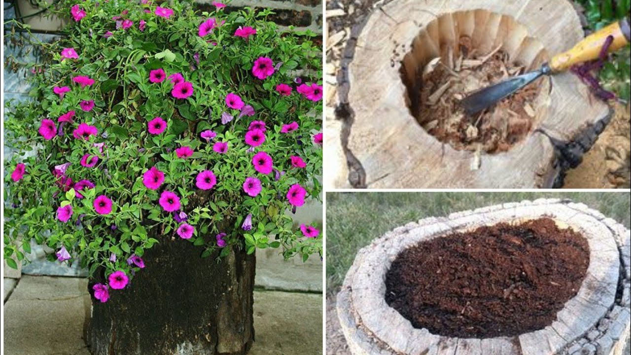 COMO FAZER BURACOS EM TRONCOS PARA PLANTAR!