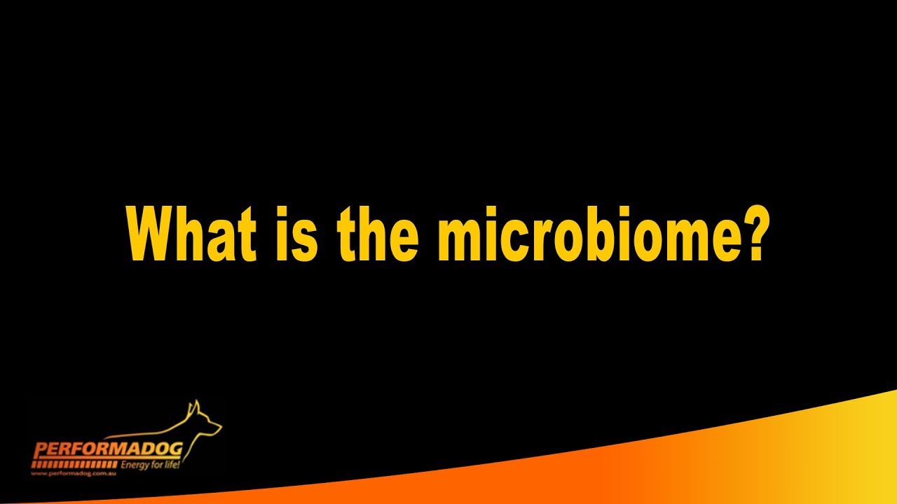 What is the microbiome? - Performadog & iPurr Premium Foods