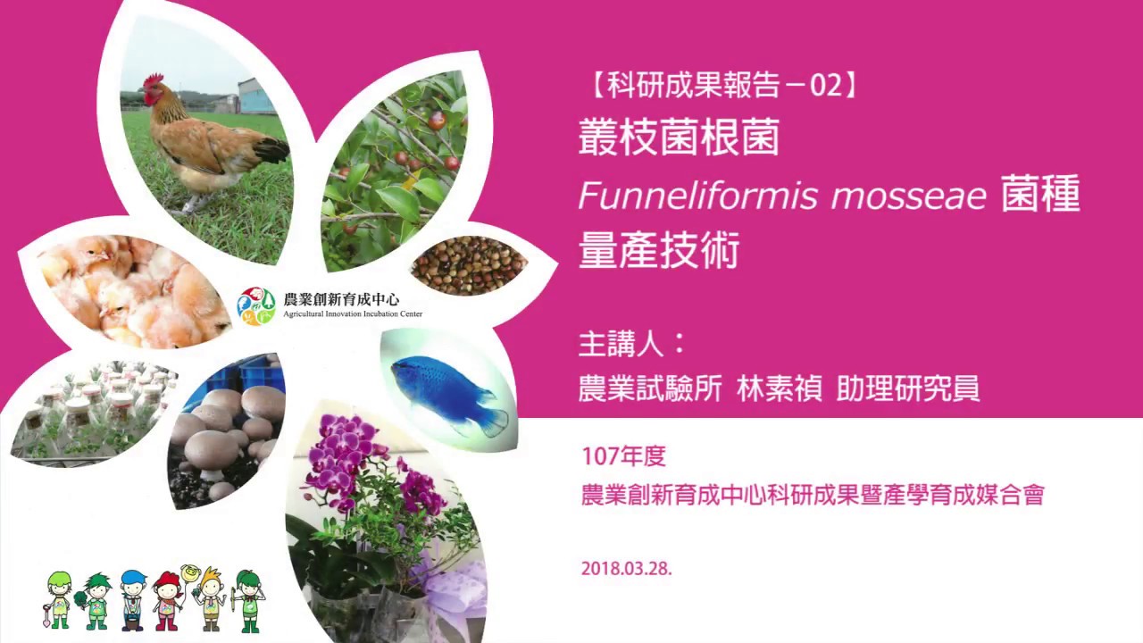2018農業創新育成科研成果暨產學育成媒合會 全記錄 科研成果報告 02 叢枝菌根菌Funneliformis mosseae菌種量產技術