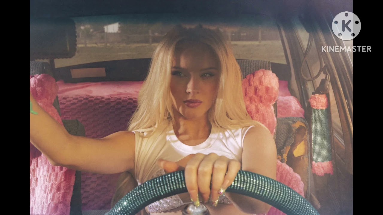 Zara Larsson - Pretty Ugly (PAL Tone)