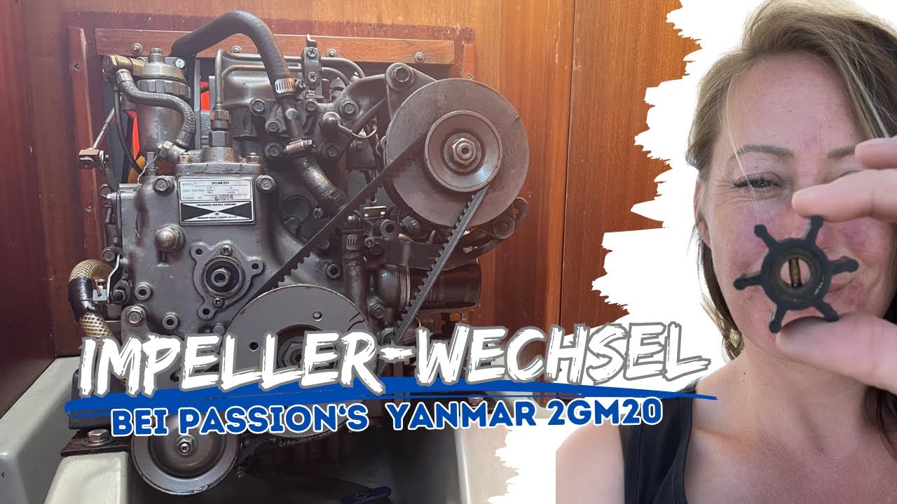 #11 Impeller wechseln💪 Routinewechsel an Passion‘s Motor Yanmar 2GM20 ⛵️☺️ #segeln #sailing #motor