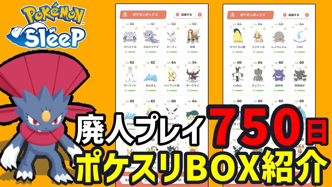 【BOX紹介】ポケモンスリープを2年間寝る間も惜しんでプレイした者の末路