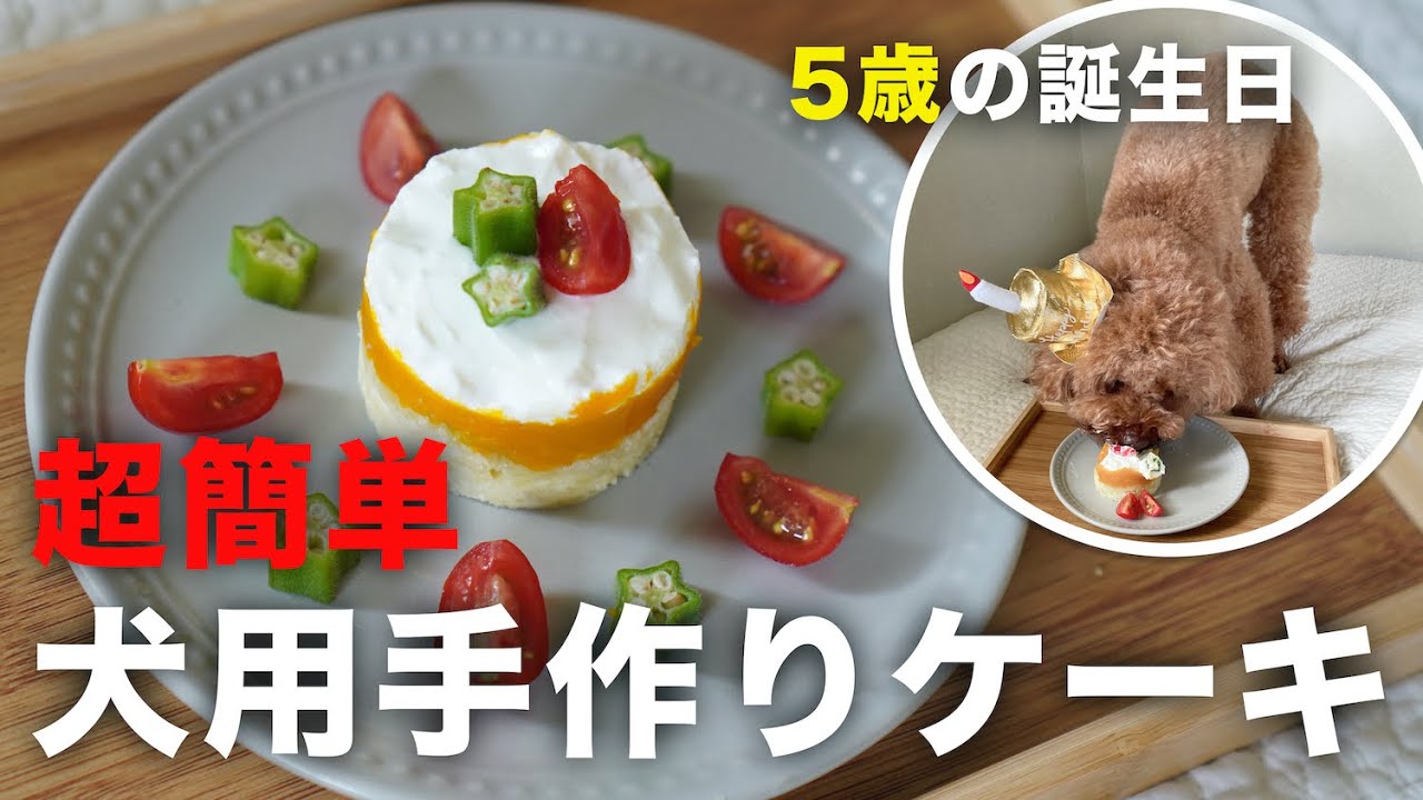 【保存版】超簡単犬用手作りケーキを作ったよ[レオさん5歳の誕生日]