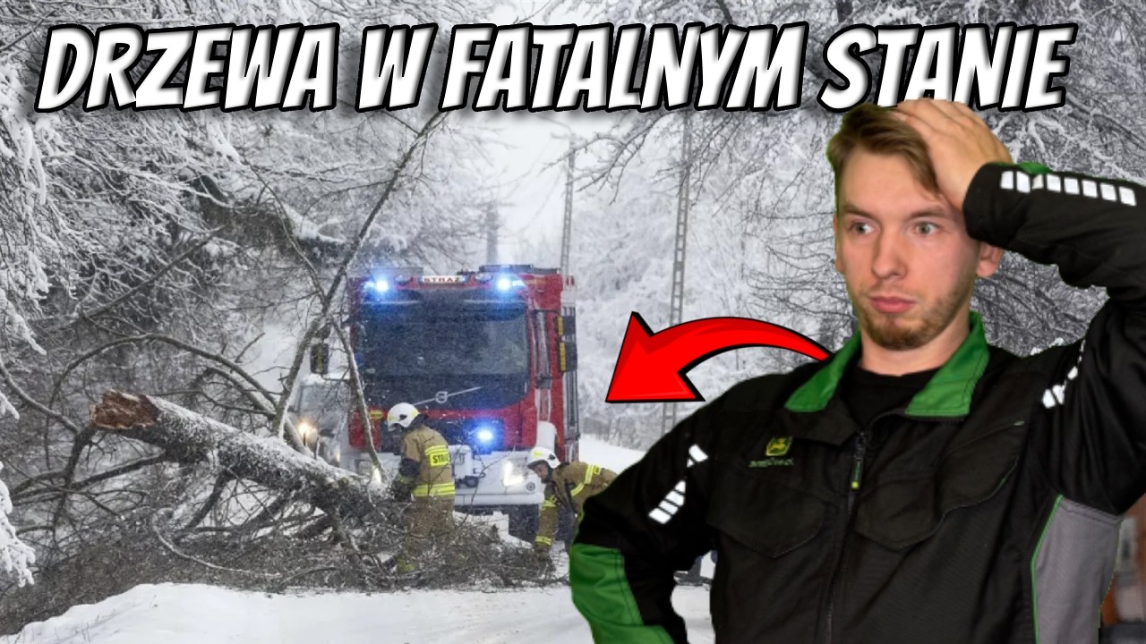 Ścinka NIEBEZPIECZNYCH DRZEW obok DOMKÓW