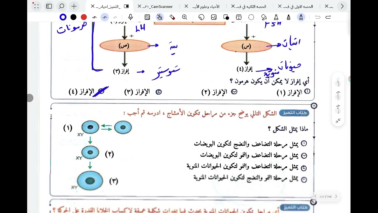 حل الدرس السادس من ملخص التميز الفصل الثالث التكاثر في الانسان