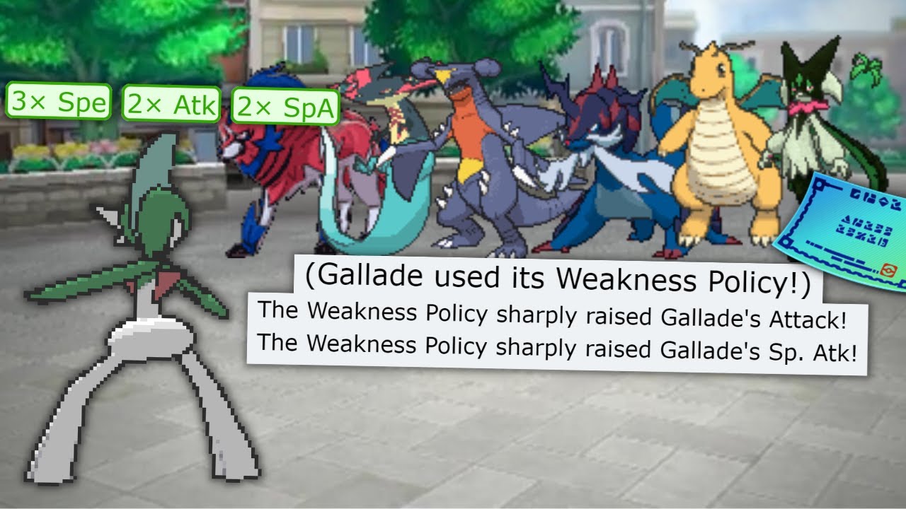Weakness Policy Gallade (pokemon showdown SWEEP)