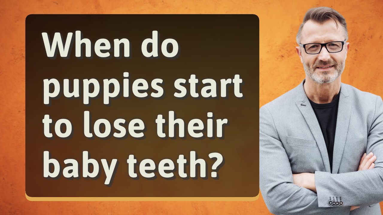 When do puppies start to lose their baby teeth?