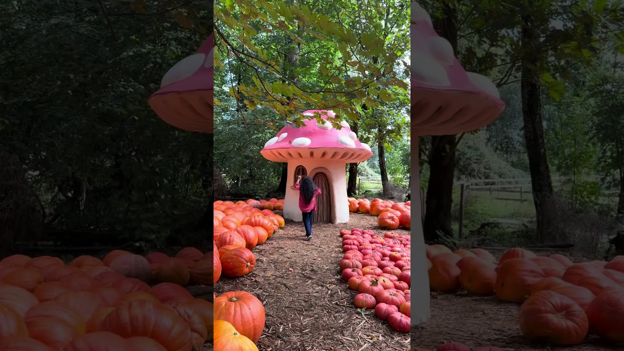 🍂🎃Fall at the Farm ~making magical memories