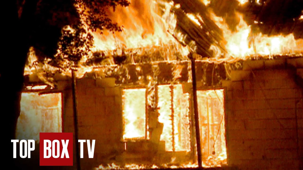 Cat Saves Woman From Deadly fire - Animal Miracles 103 - Cat on the Night Highway