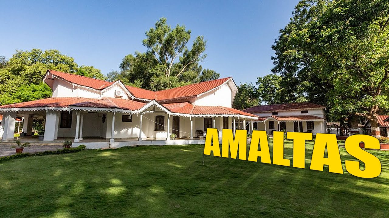 MPT Amaltas, Pachmarhi | Hidden Gem in Pachmarhi | MPT Amaltas Full Tour #pachmarhi #resort #hotel