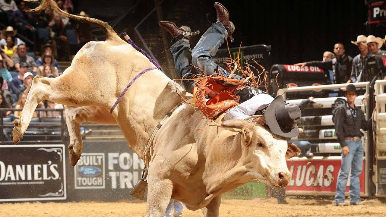 Josh Faircloth and The Bull Roy Clash | 2014