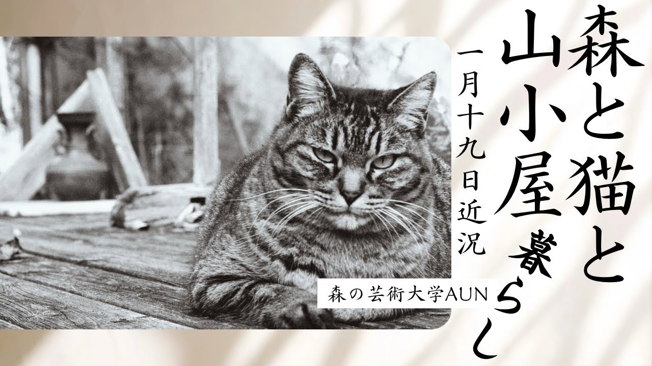 森と猫と山小屋暮らし　2026年1月19日の近況　森の芸術大学AUN 50歳を過ぎて意識したい事とか。