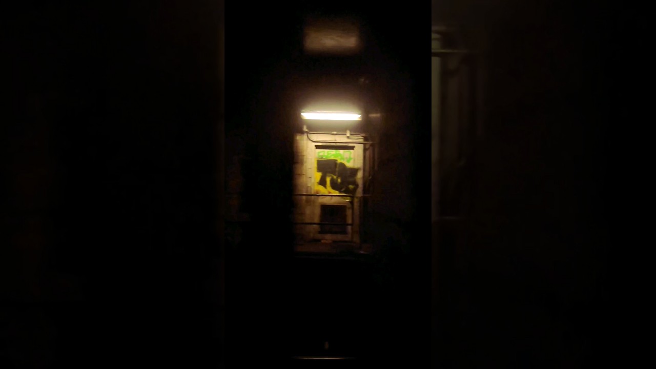 New Yorkers Dream【Dekalb Ave】Brooklyn, NY