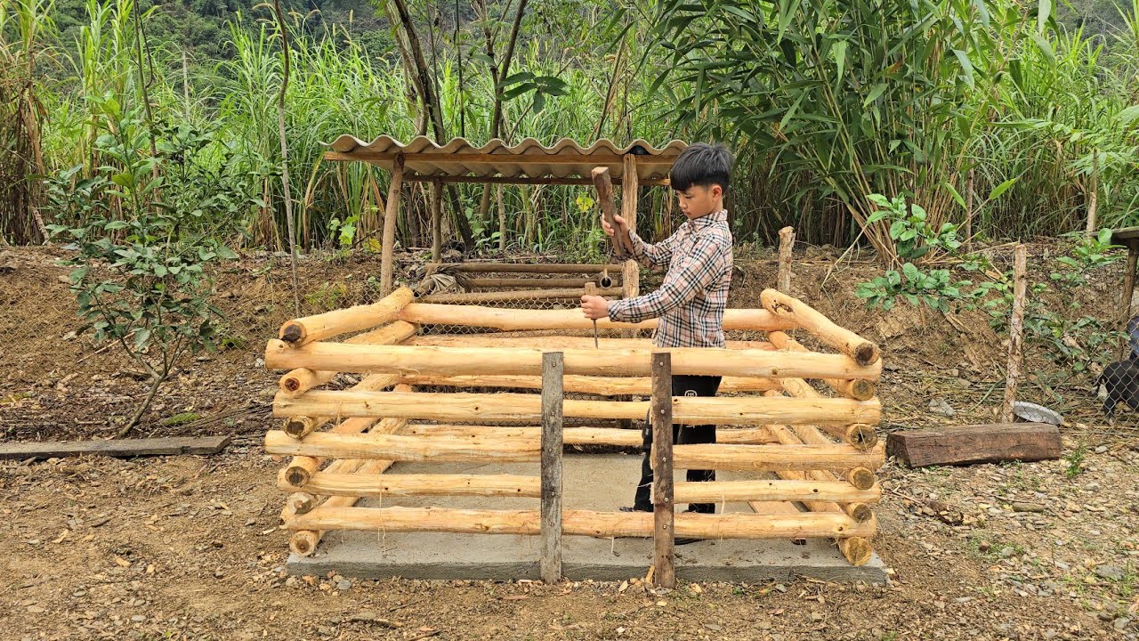 Poor boy - Building a wooden pigpen - The life of a boy without parents