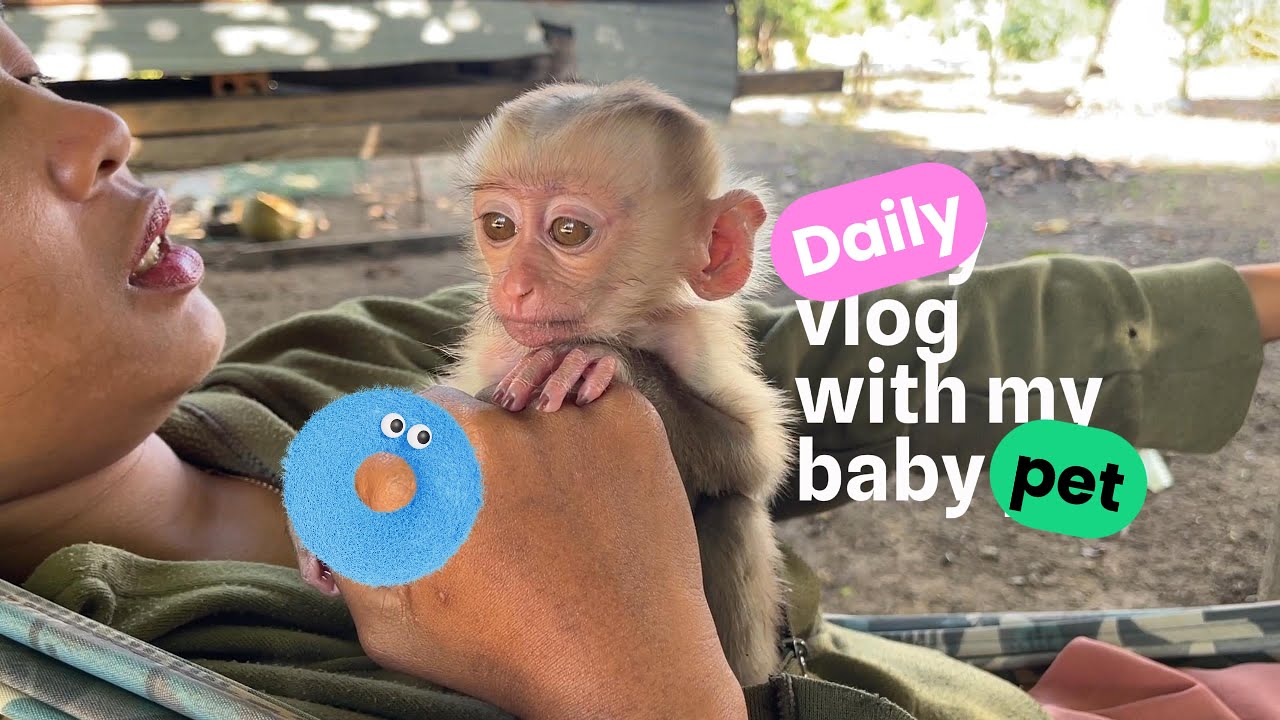 Baby TOMO & Dog First Meeting ❤️ | Cutest Animal Friendship Ever #babymonkey #babyanimal