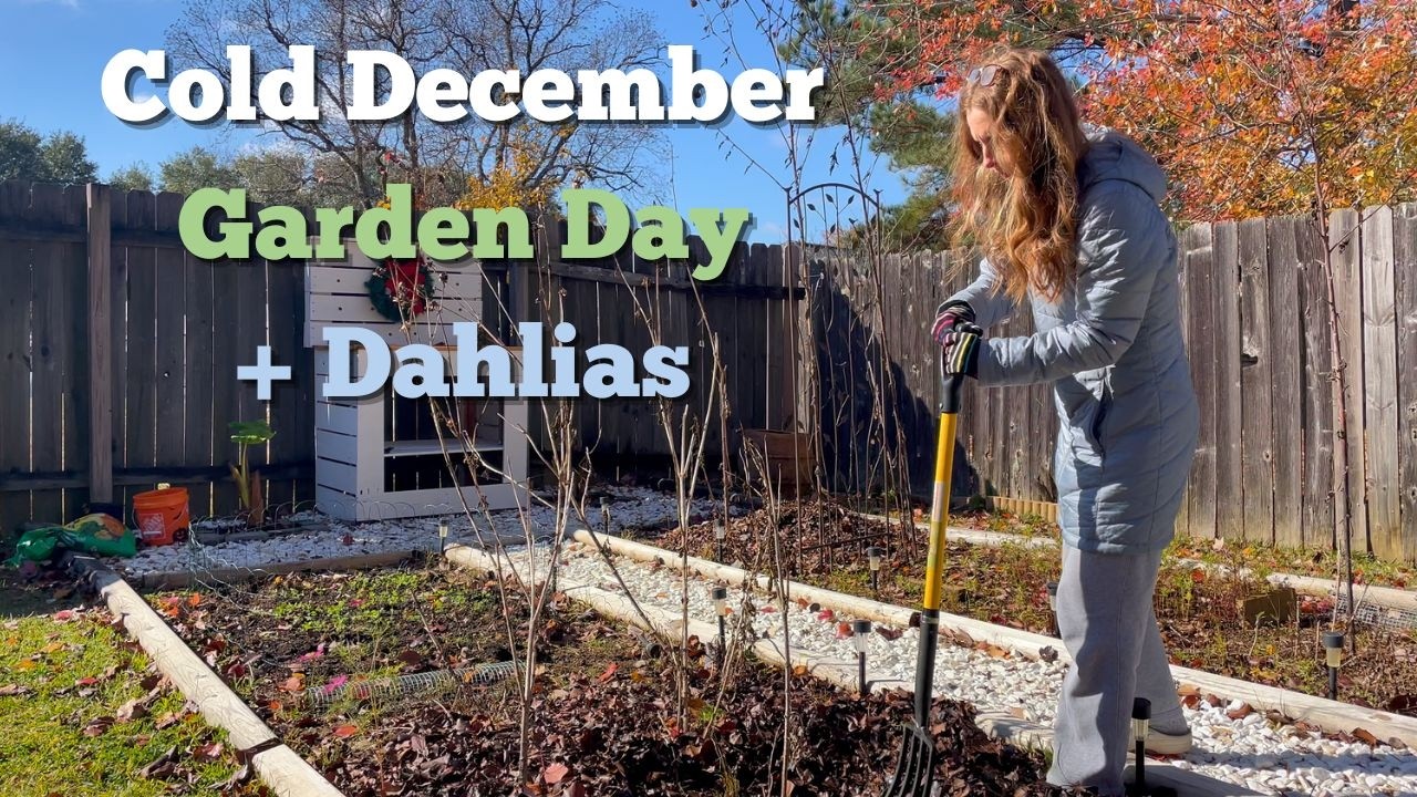 Cold December Garden Workday❄️ Digging Dahlias + Leaf Cleanup 🎄Winter Zone 8B