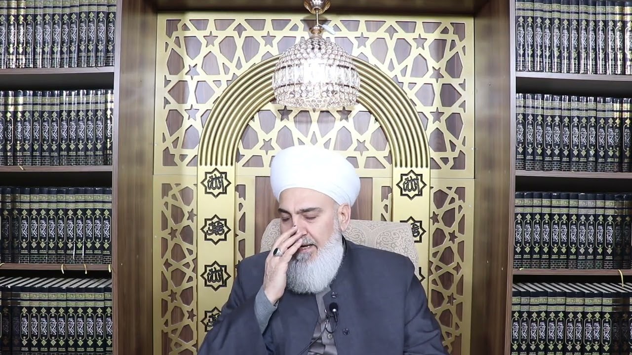 11 فبراير 2026