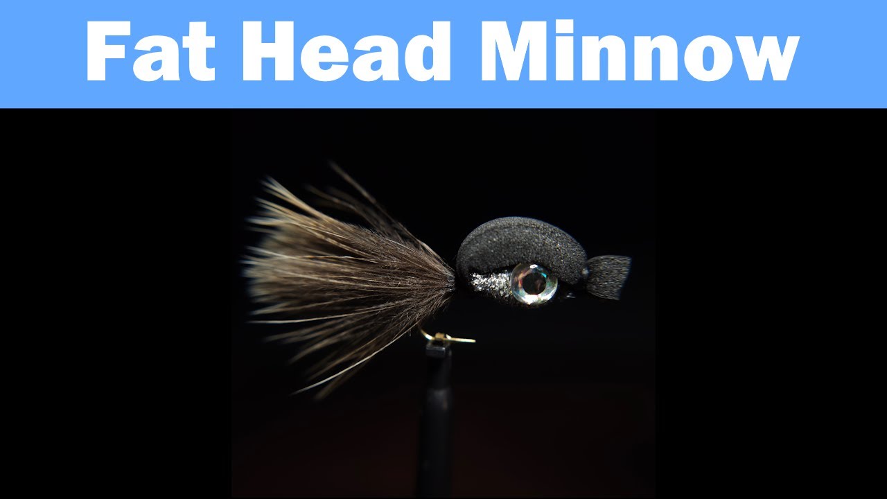 Fat Head Minnow | Fly Tying Tutorial