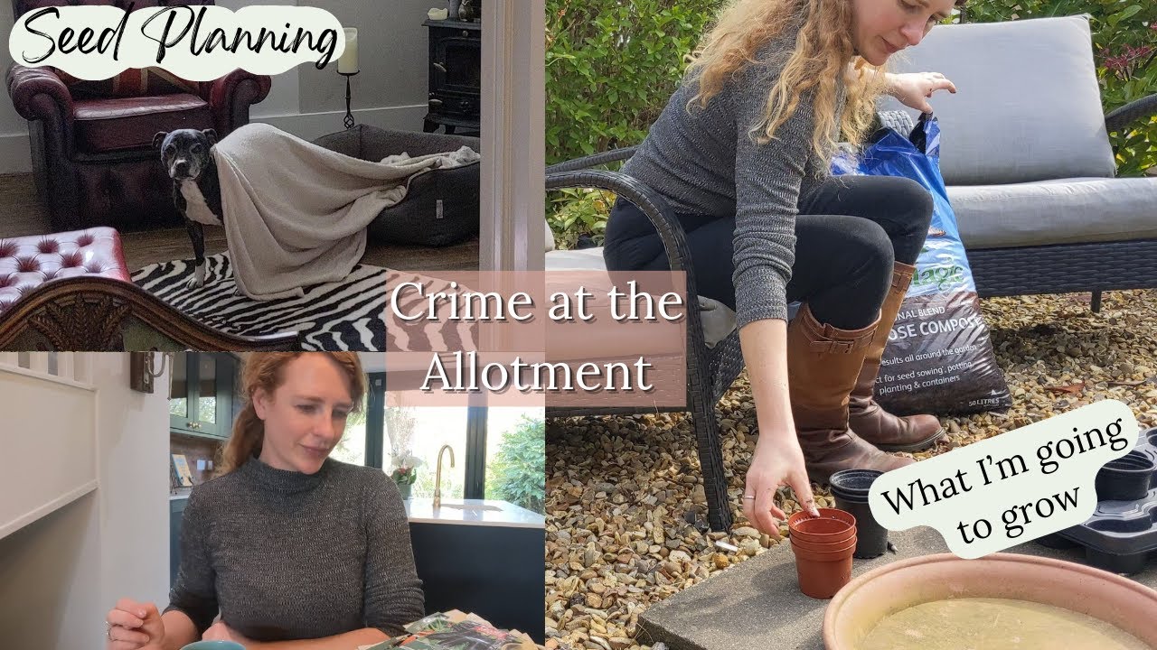 A cozy chat about planting seeds...and that time someone brought a gun to the allotment