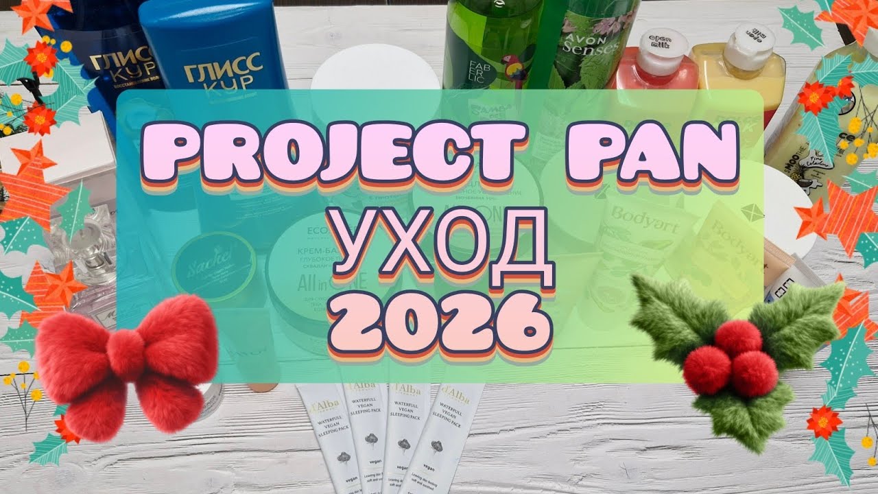 Project pan уход 2026! Начало! Беру 25 средств! 