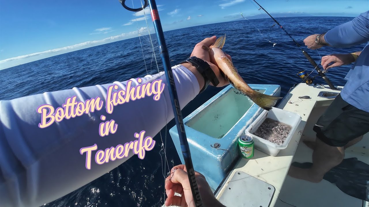 My First Grouper | Tough Fishing Day in Tenerife #Grouper#BottomFishing#FishingTrip#tenerife #fish 