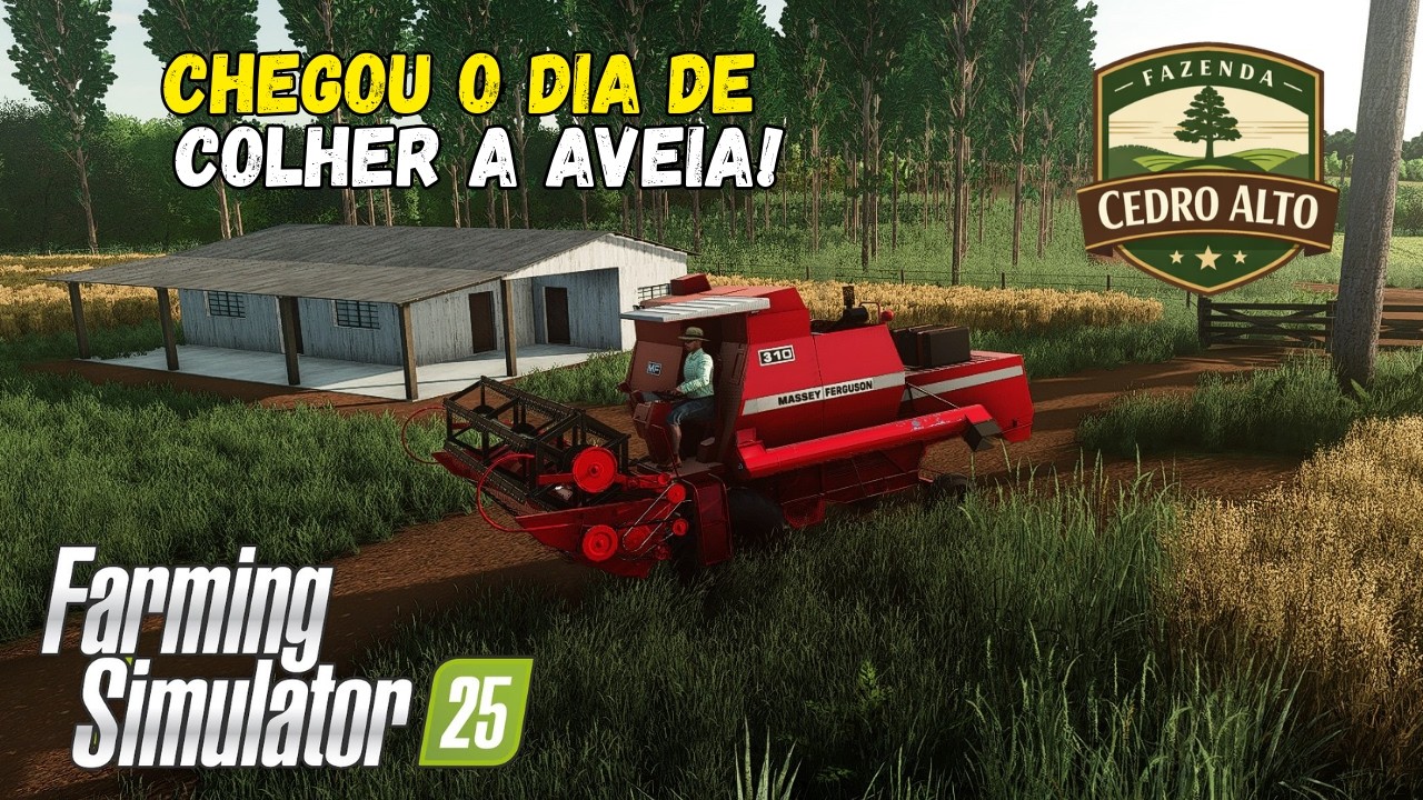 LOTADOS DE SERVIÇOS NA FAZENDA DO SERVIDOR ROLEPLAY - FAZENDA CEDRO ALTO!
