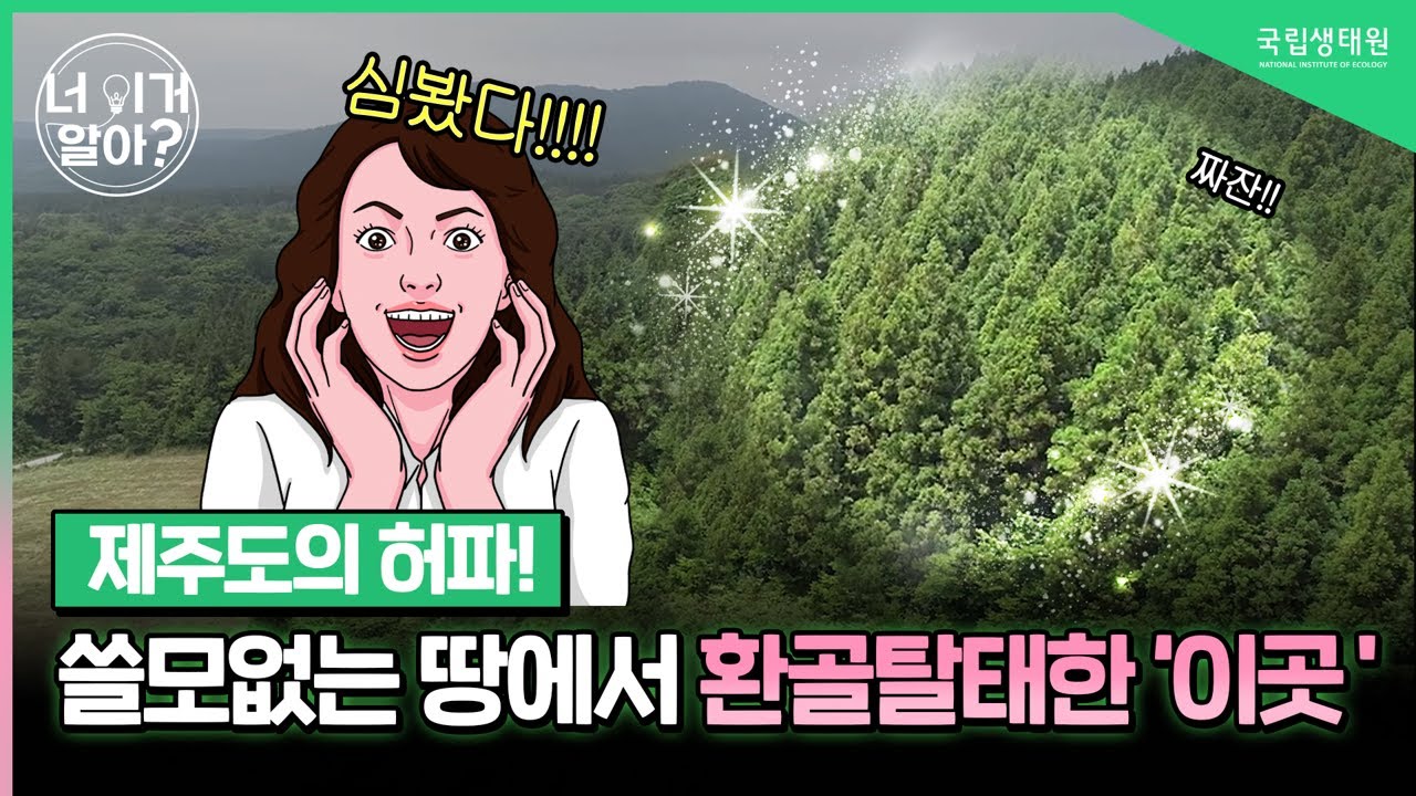 [너 이거 알아?] 생태계의 보물 제주도 '곶자왈'을 여기에서 볼 수 있다고?
