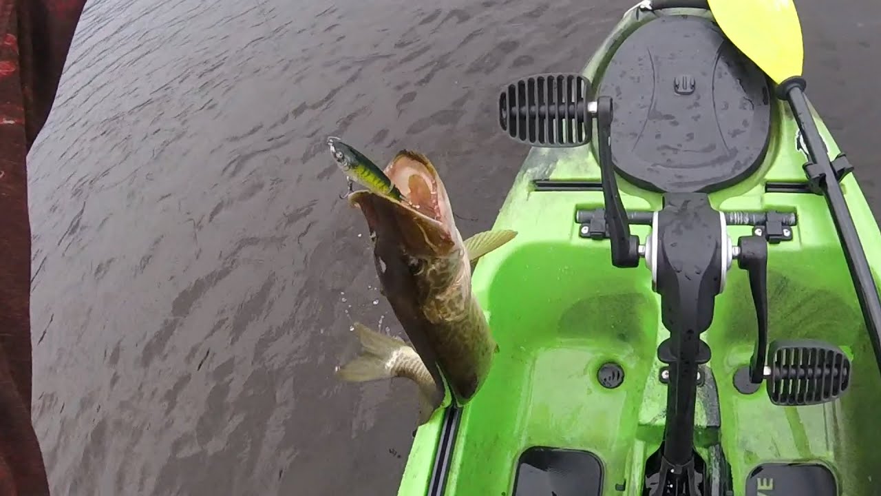 Whoppin and Ploppin for Smallmouths, Jump Ropes, and MUSKIES!?!?!