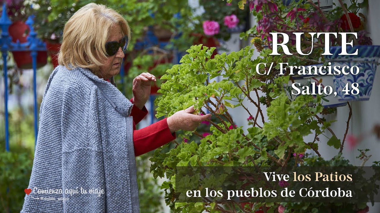 Vive los patios en los pueblos de Córdoba | Rute - C/ Francisco Salto, 48
