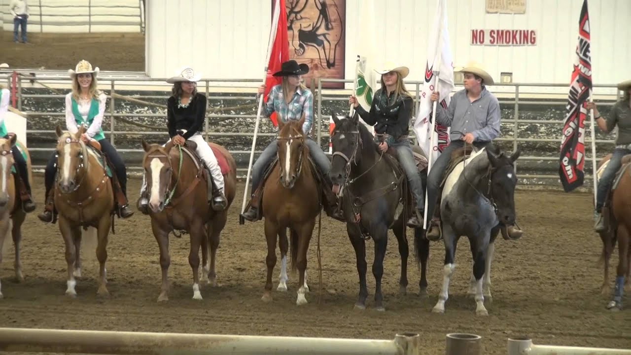 Calgary Stampede 4-H Rodeo