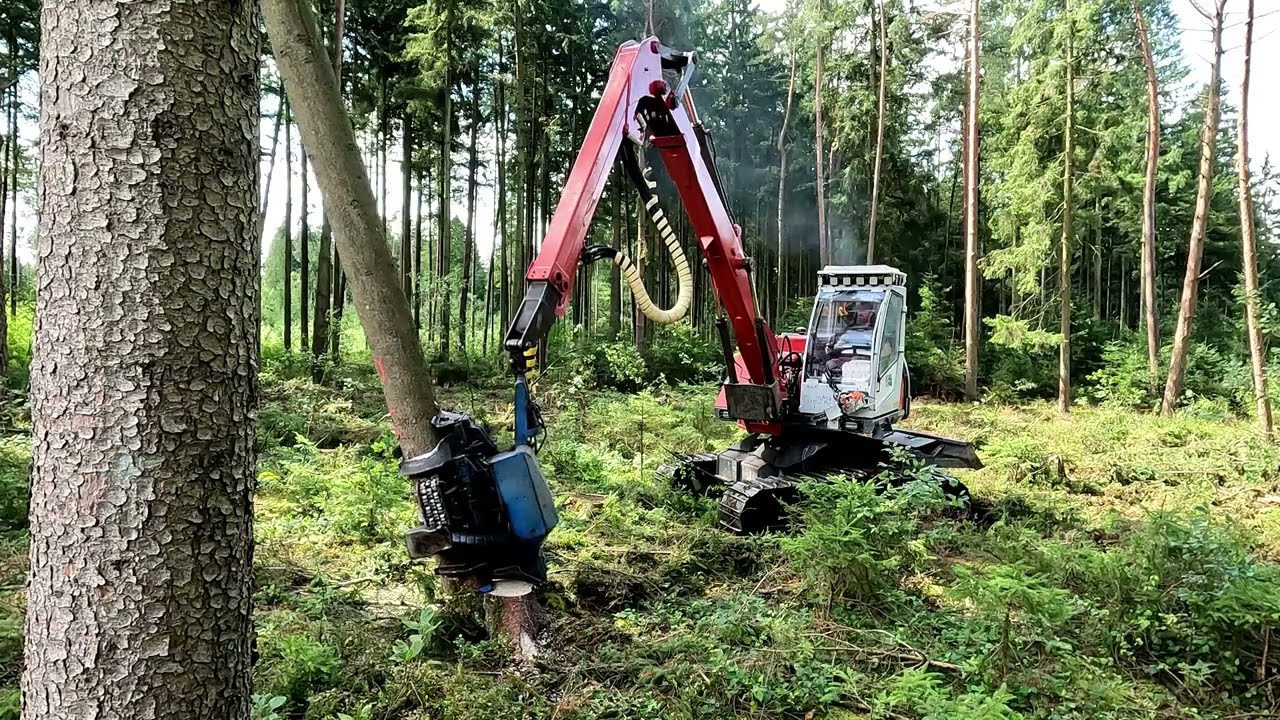Neuson 11002 mit Keto 100 LD und Stihl 500 i Käferbäume