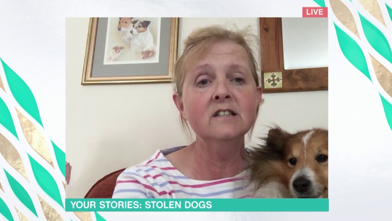 Don't Ever Give Up Hope If You Lose Your Dog | This Morning