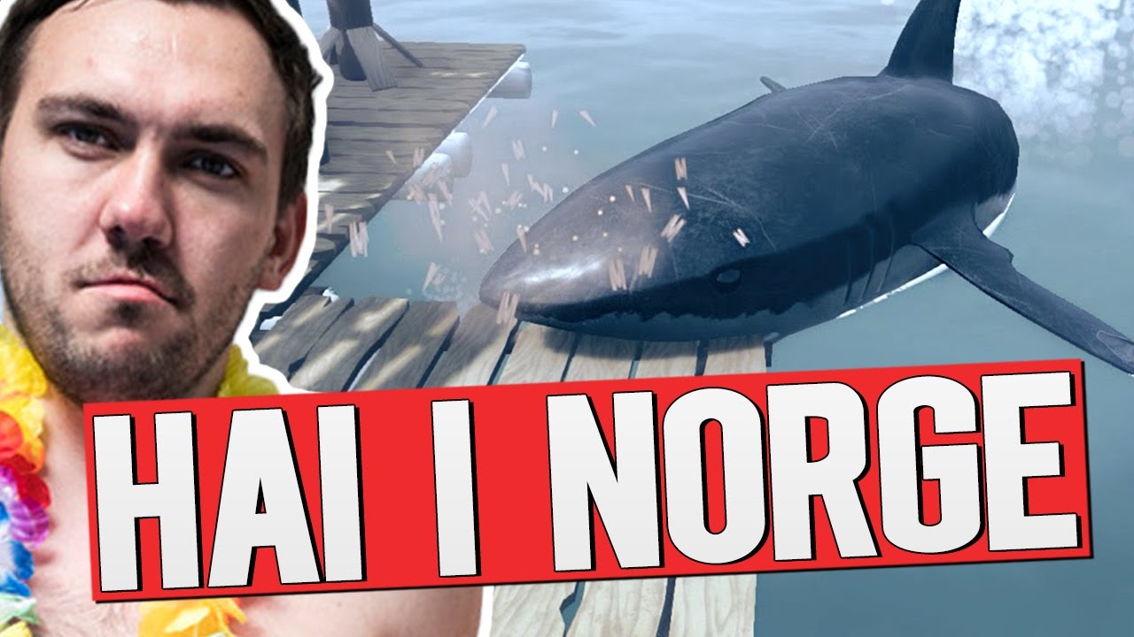 Hai i NORGE 🦈