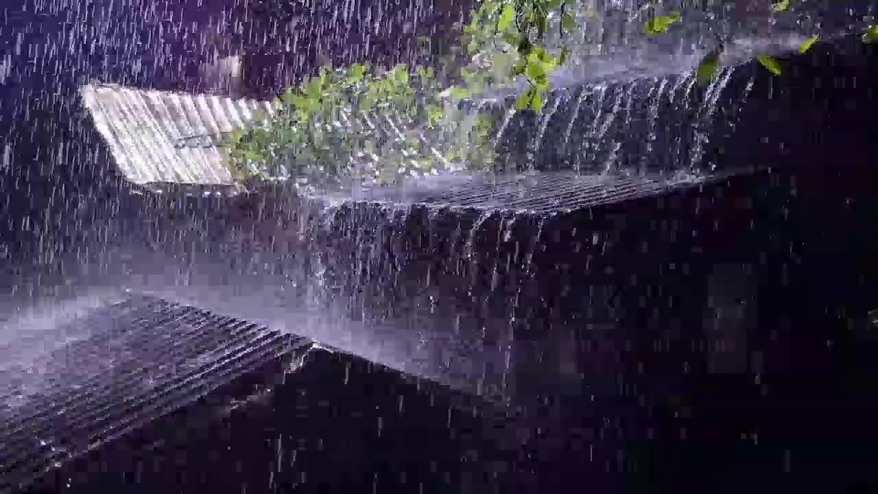 Soft Rain on Tin Roof | Insomnia Relief Rain Sounds – No Thunder