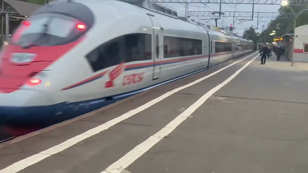 Много Сапсанов