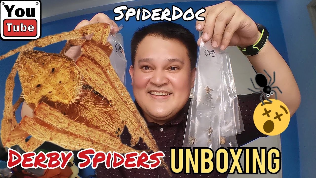 Mga Gagambang Pang Laban sa Spider Vloggers Tournament Season 7. GENSAN DERBY SPIDERS. UNBOXING.