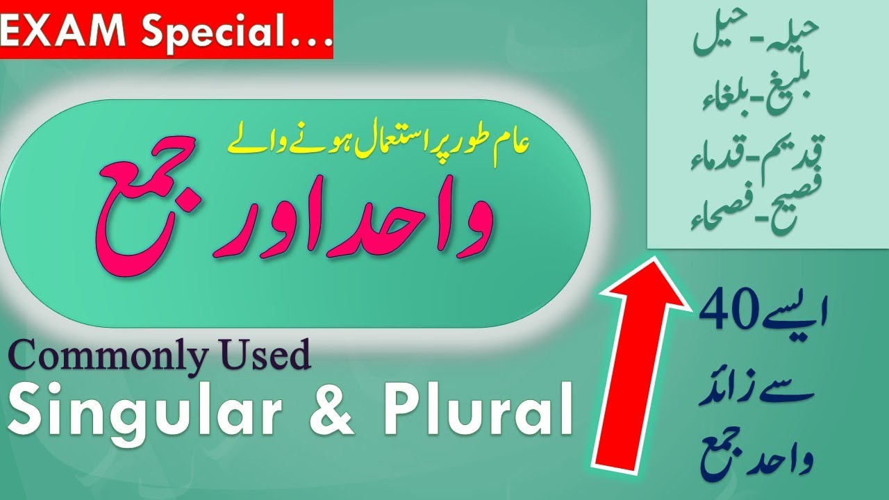 Learn Urdu Wahid & Jama with English Translation || واحد اور جمع