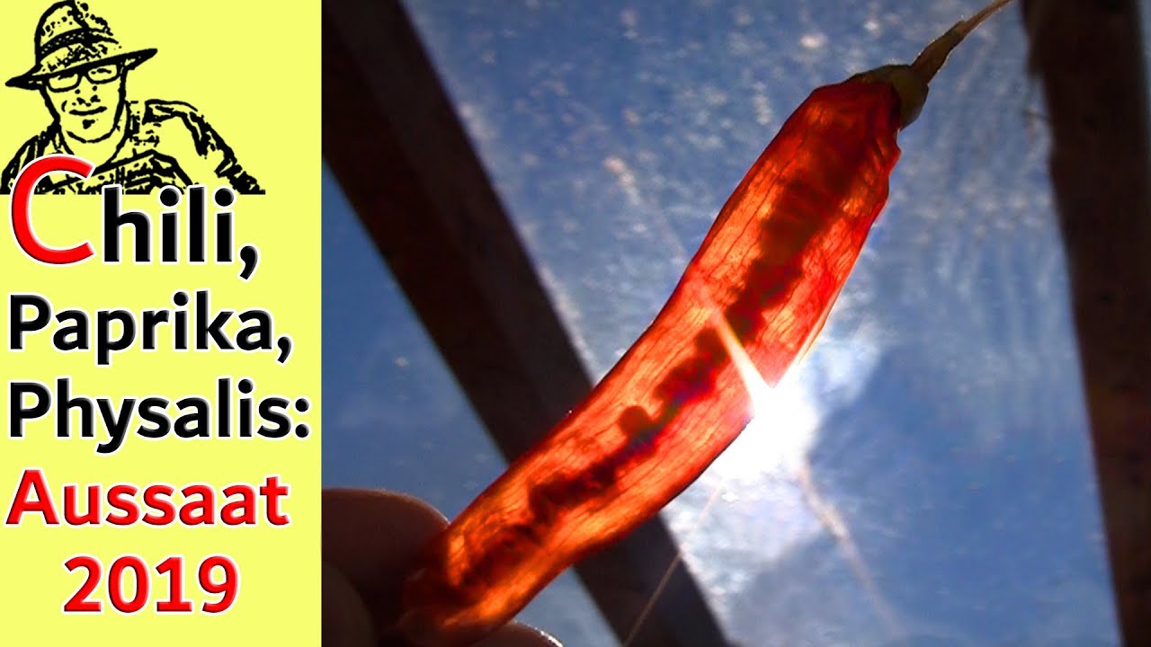 Tipps zur Anzucht von Chili, Paprika und Physalis - Aussaat 2019