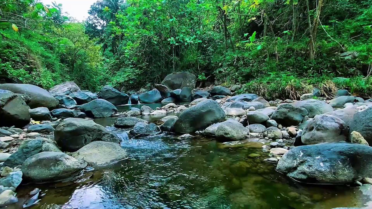Forest River Flow Noise, Mountain Stream Water, Sleeping