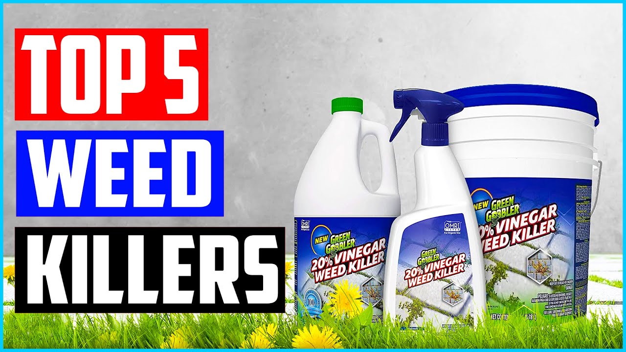 Top 5 Best Weed Killers in 2022 Reviews